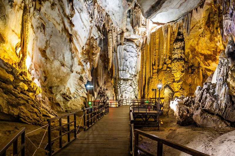 Lush jungle ecosystem inside Phong Nha-Ke Bang’s caves