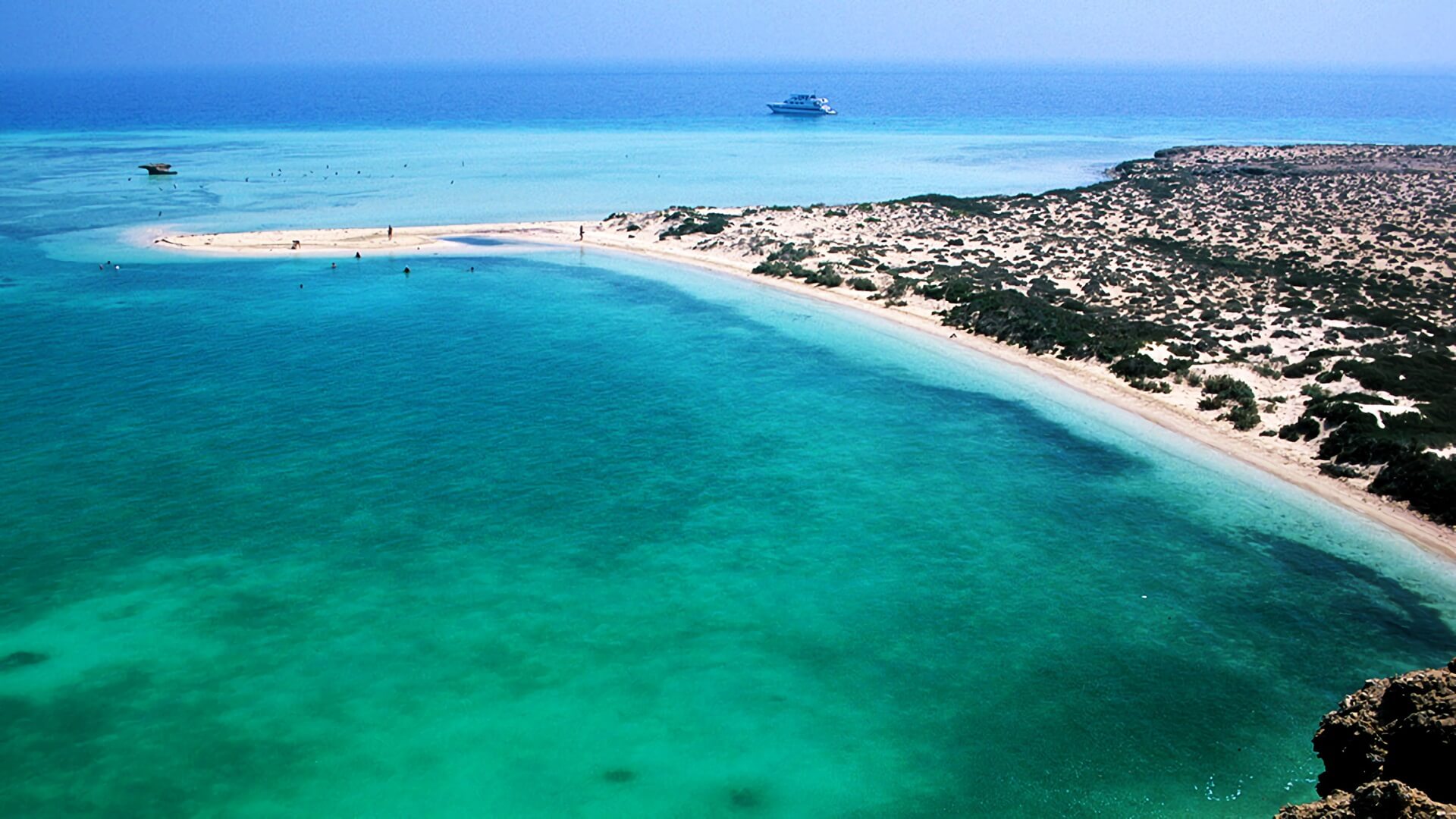 Diverse marine life thriving in the coral reefs of Farasan Islands 