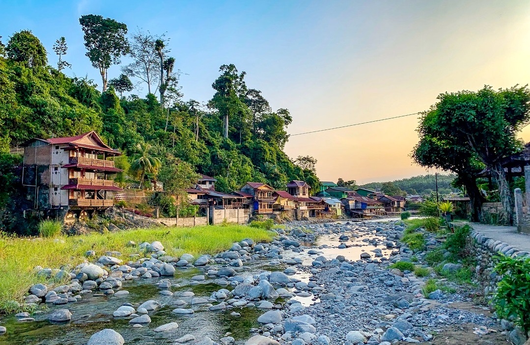 Keindahan Alam Bukit Lawang: Surga Tersembunyi dengan Hutan Tropis yang Memesona