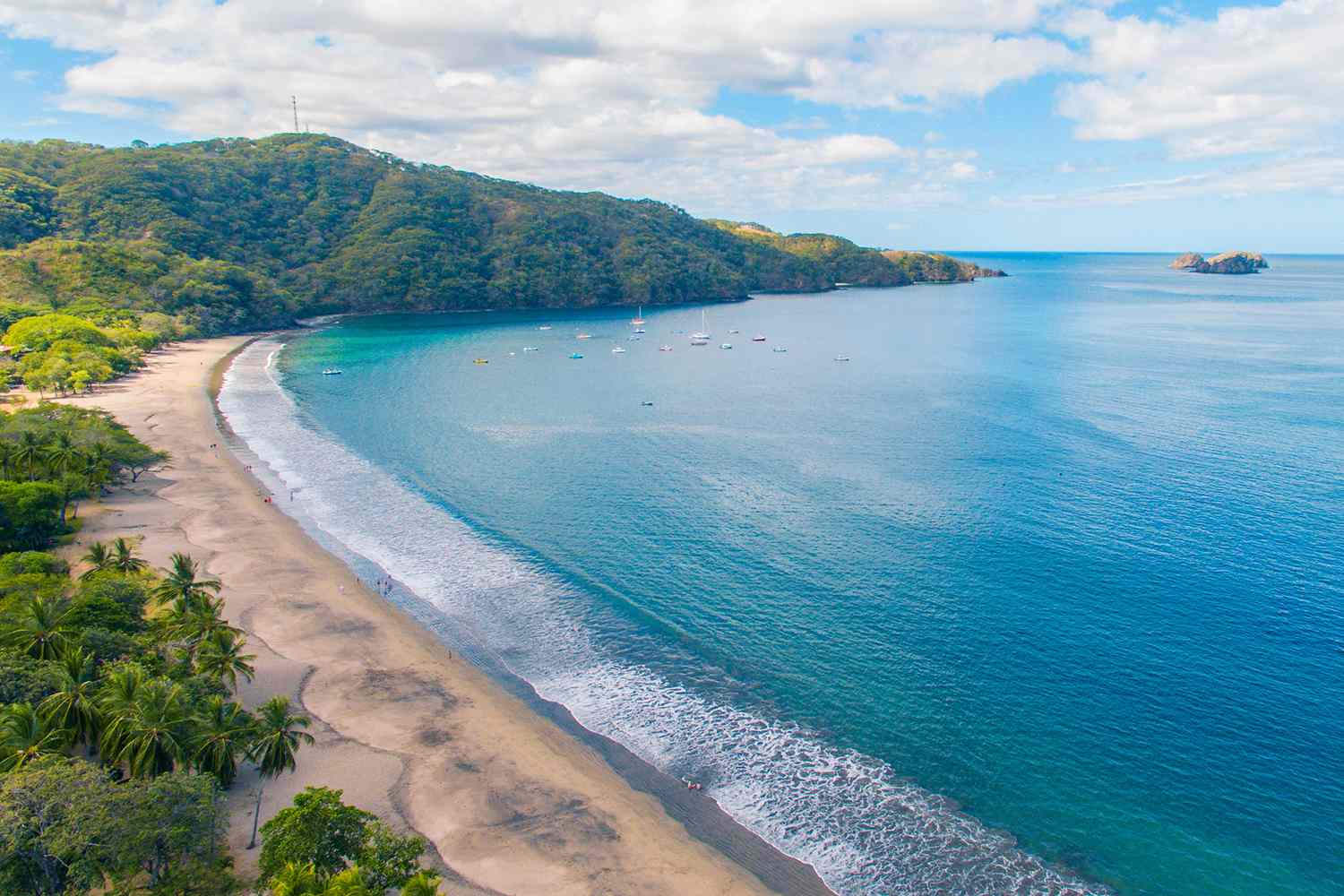 Lush Costa Rican rainforest during the green season