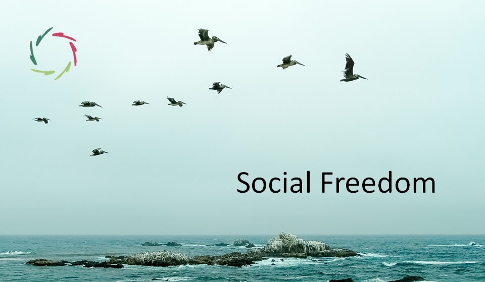 Social Freedom