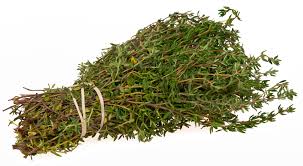 Thyme Leaf