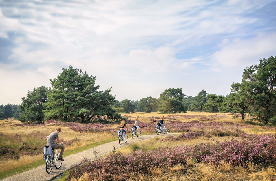 Taman Nasional Hoge Veluwe