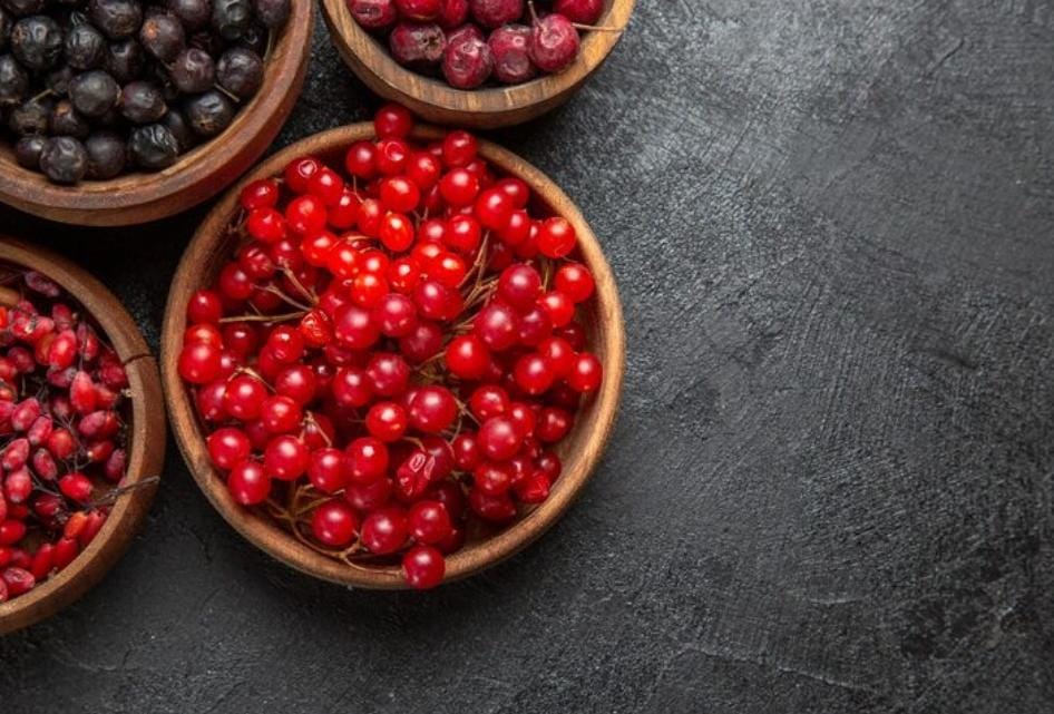 Manfaat Buah Cranberry