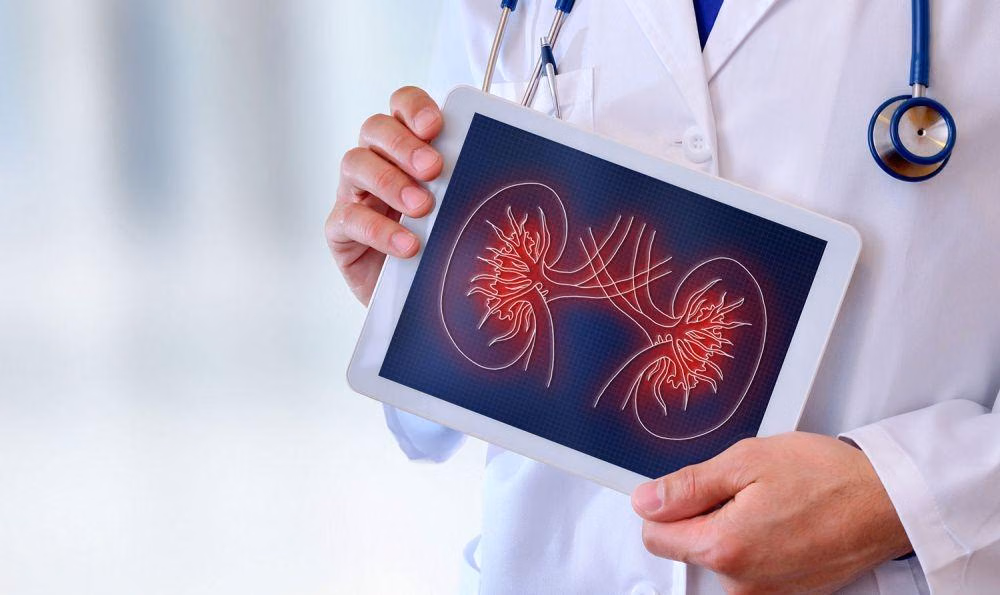 Langkah Strategis Mencegah Kerusakan Ginjal Sejak Dini