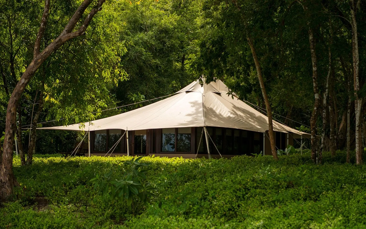 Konsep Amanwana Resort Glamping Mewah yang Tak Tertandingi