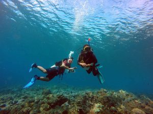 Wisata Bahari yang Memikat Hati, Menjelajahi Keindahan Laut dengan Pengalaman Tak Terlupakan