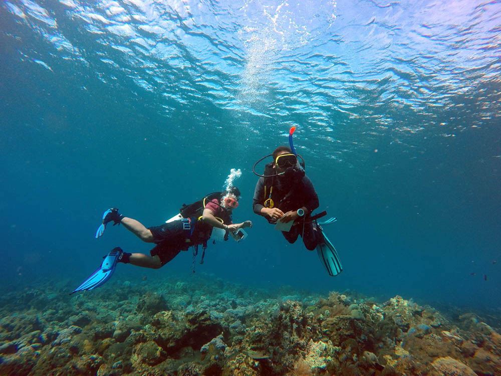 Wisata Bahari