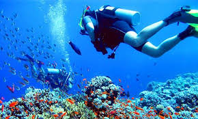 Wisata Bahari